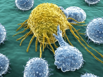«Φαρμακώνουν» με ιούς επιθετικούς καρκίνους