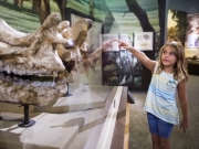 Ανακαλύψτε τους Δεινόσαυρους στο Μουσείο Φυσικής Ιστορίας Βόλου