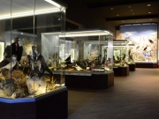 Νέα βράβευση για το Μουσείο  Φυσικής Ιστορίας Μετεώρων